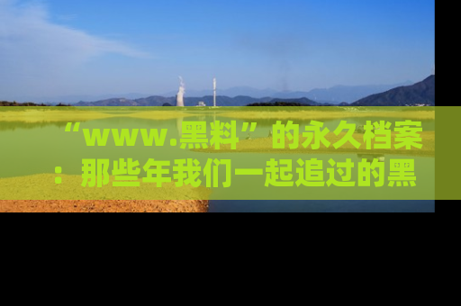 “www.黑料”的永久档案：那些年我们一起追过的黑料真相