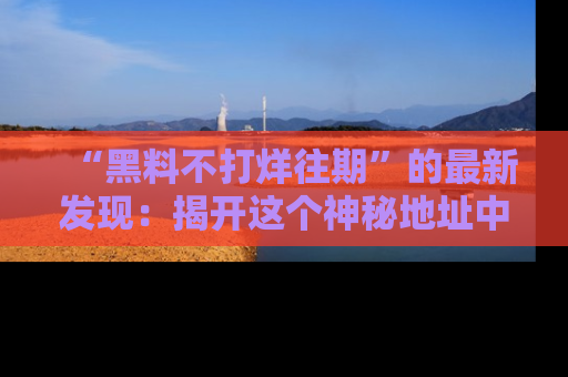 “黑料不打烊往期”的最新发现:揭开这个神秘地址中的爆笑黑料面纱