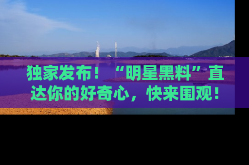 独家发布！“明星黑料”直达你的好奇心，快来围观！