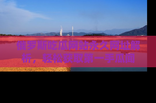 俄罗斯吃瓜网站永久网址解析，轻松获取第一手瓜闻