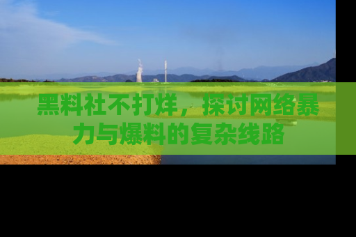 黑料社不打烊,探讨网络暴力与爆料的复杂线路