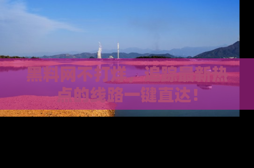 黑料网不打烊,追踪最新热点的线路一键直达!