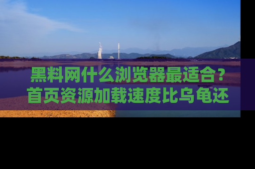 黑料网什么浏览器最适合?首页资源加载速度比乌龟还慢的体验真心吐槽!