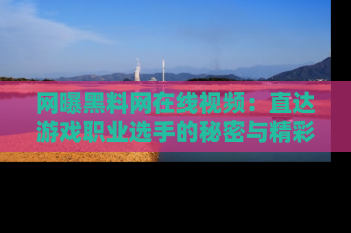 网曝黑料网在线视频：直达游戏职业选手的秘密与精彩动漫片段！