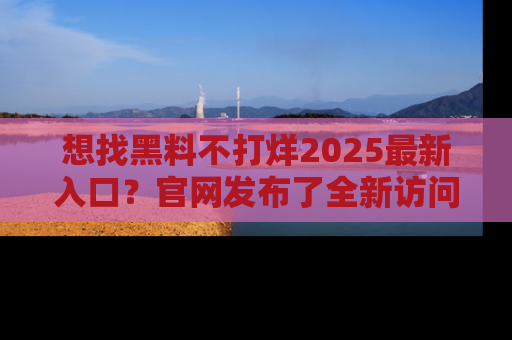 想找黑料不打烊2025最新入口?官网发布了全新访问指南!