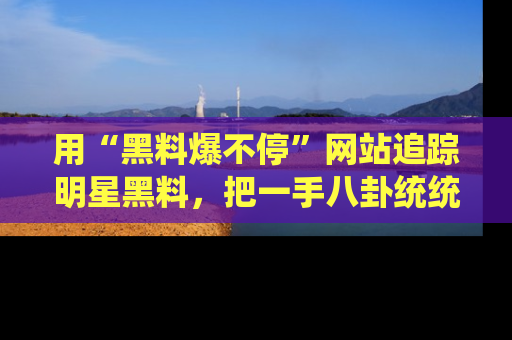 用“黑料爆不停”网站追踪明星黑料,把一手八卦统统收进你的后宫中!