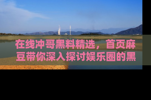 在线冲哥黑料精选,首页麻豆带你深入探讨娱乐圈的黑暗面