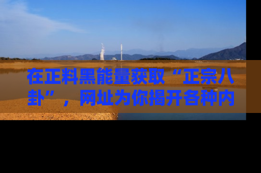 在正料黑能量获取“正宗八卦”,网址为你揭开各种内幕故事!