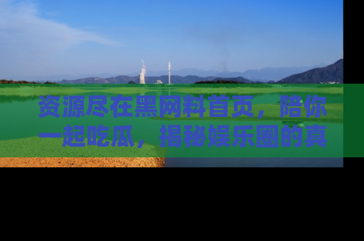 资源尽在黑网料首页,陪你一起吃瓜,揭秘娱乐圈的真实内幕